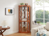 Corner Glass Cabinet Lighted Curio Cabinet Corner Display Case for Living Room, Curio Cabinet, W2275P296058