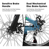 V20235 20 Inch Fat Tire Bike Adult 7 Speed Mountain Bike, Dual Disc Brakes, High Carbon Steel Frame, W709P285166