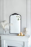 24"x 42" Classic Design Mirror with and Baroque Inspired Frame for Bathroom, Entryway Console Lean W2078123593