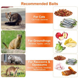 Humane Animal Trap Cage - Galvanized Sturdy Wire Mesh, Sensitive Trigger & 96020110