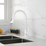 Kitchen Faucet with Pull Out Spraye 61000236