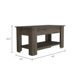 Daffodil Bench, Liftable Top And Lower Panel B128P148903