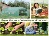 Greenhouse Walk-in Grow House 61691798