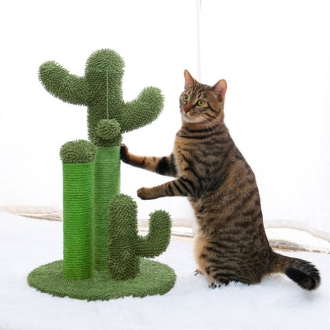 ZUN Cat Scratching Post Cactus Cat Scratcher Featuring with 3 Scratching Poles and Interactive Dangling 48705185