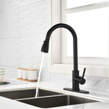 Black Kitchen Faucet, Kitchen Faucets with Pull Down Sprayer Commercial Stainless Steel Single 43249908