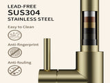 Kitchen Faucet with Pull Down Sprayer Brushed Gold T5879P505810