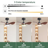 ZUN 24" Black small Ceiling Fan with Light remote control ,Modern Low Profile Ceiling Fan, 6-Speeds W2352P224344