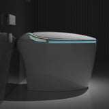 ZUN Unique Smart Toilet with Bidet Built In, Intelligent One Piece Toilet For Modern Bathroom, Auto W2826P230233