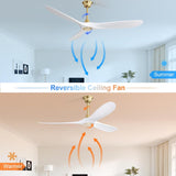 ZUN 60 Inch Modern ABS Ceiling Fan With 6 Speed Smart Remote Control Reversible DC Motor For Bedroom W882P254258