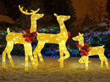 3-Piece Lighted Christmas Reindeer Family Set Outdoor Decorations, Weather Proof 2D Deer Family Set 09867947