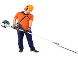 4 in 1 Multi-Functional Trimming Tool, 31CC 4-Cycle Garden Tool System with Gas Pole Saw, Hedge W46561886