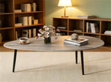 Gray Stylish Irregular Shape Coffee Table, Heavy-Duty Metal Base Oval Sofa Side Table, 19599747