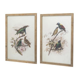 S/2 Bird Framed Print, 19.5x27.5" W2078P205301