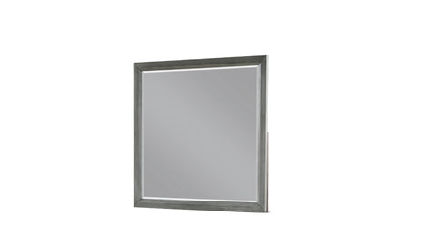 ZUN Kenzo Modern Style Mirror Made with Wood in Gray B009139193