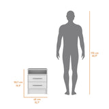 Philadelphia Nightstand, Two Drawers, Concealed Shelf B128P148787