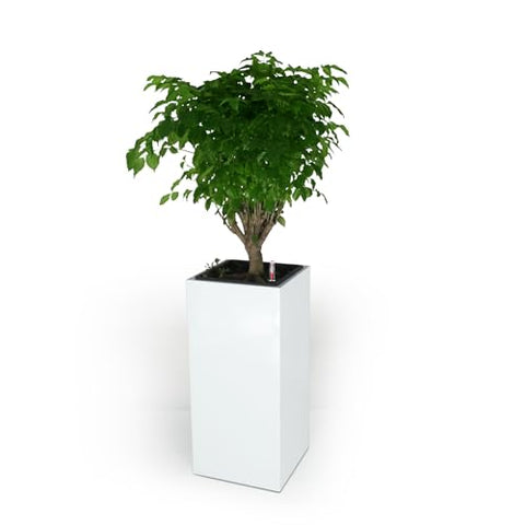 ZUN 11" Composite Self-watering Square Planter Box - High - White B046P144678