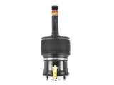 Front Air Shock Absorber Replacement for Lexus LS430 Base 4.3L V8 2001-2006 4801050120 4801050130 35681988