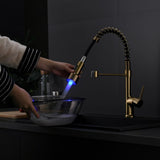 ZUN Commercial LED Kitchen Faucet with Pull Down Sprayer, Single Handle Single Lever Kitchen Sink Faucet W1932P156148