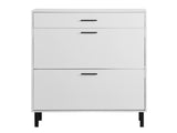 Shoe Cabinet, Freestanding Shoe Rack Organizer with Drawers & Metal Legs, Modern Shoe W40981153