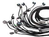 OBD2 D&B-series Tucked Engine Wire Harness Fit For 1992-2000 Honda Civic B16 B18 D16 11775816