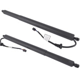 Set of 2 Rear Power Tailgate for Hyundai Palisade 3.8L V6 GAS DOHC 2020-2022 81831-S8100 81841-S8100 50496657