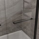 Goodyo Double Sliding Bathtub Shower Door 48 in. W x 60 in. H Aluminum Framed Shower Enclosure for D163107685