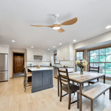56 Inch Modern Ceiling Fans Dimmable LED Light Quiet DC Reversible Motor for Indoor & Outdoor W882P221540