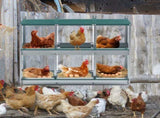 Chicken Nesting Box, 6 Room Metal Nesting Boxes for Chicken,Galvanized steel Nesting Boxes for W1422P246452