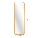 ZUN Gold 47 x 14IN Door mirror W2203P182156