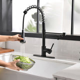 Purifier Faucet Drinking Water Faucet With Roll Up Dish Drying Rack, Pull Down Water Filter W1932P338769