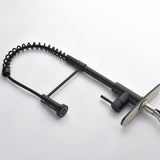 Kitchen Faucets Commercial Solid Brass Single Handle Single Lever Pull Down Sprayer SpringKitchen 44507686
