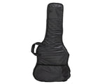 GTL Maple Fingerboard Electric Guitar Bag Strap Paddle Cable Wrench 19857177