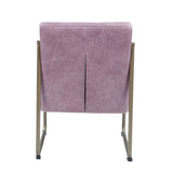 Wisteria Accent Chair with Metal with Sled Base B062P209156