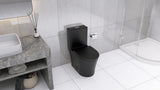 Matte Black Elongated One Piece Toilet Dual Flush 1.1/1.6 GPF Water Saving Map 1000g,Matte Black W2826P192009