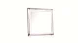 Desire Mirror LED-Lit Frame with Metallic Trim Generous Viewing Surface for a Sophisticated G150109089