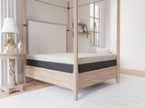 Omne Sleep Queen Medium Gel Memory Foam Tight Top 10 Inch Mattress B04764849