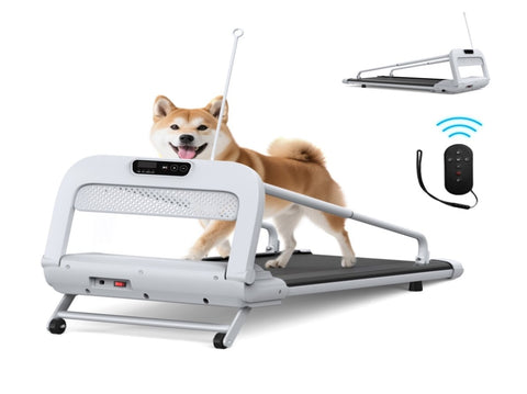 2025 New Quiet Smart Pet Treadmill, Adjustable Speed, Perfect for Small/Medium Dogs W215P296966