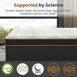 Queen Mattress, 10 Inch Plush Hybrid Mattress with Gel Memory Foam, Fiberglass-Free Mattress in a B2716P318204