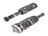 2PCS Rear Shock Struts Assys Replacement for BMW X3 F25 2011-2017 X4 F26 2015-2018 2.0L 3.0L 75126356