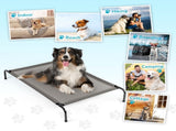43"D x 26"W x 8"H Dog Bed Gray 36552704