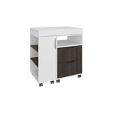 Extendable Desk, 2 Drawers, 4 Shelves, 4 Wheels B097P296841