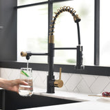 Purifier Kitchen Faucet Drinking Water Faucet, Pull Down Water Filter Kitchen Sink Faucets W1932P156131
