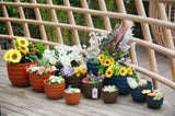 Handmade Solid Glaze Ceramic Planter Set of 4, 7/9/12/14 Inch Diameter, Terra Cotta with Horizontal W3273P321567