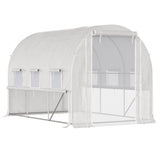 Mini Walk-in Greenhouse 06744769