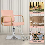 Salon Chair Styling Barber Chair, Beauty Salon Spa Equipment with Heavy Duty Hydraulic Pump, 32806837