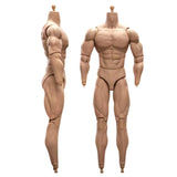 1/6 Scale BD003 Muscular Male Action Figure Body fit for Soldier Head 07542677