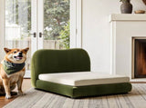 Roman Upholstered Modern Pet Bed, Small to Medium Dog or Cat Olive Green Performance Velvet B2719P448984