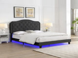 Upholstered Bed Button Tufted with Curve Design - Strong Wood Slat Support - Easy Assembly - Black W311P237227