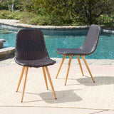 GILA DINING CHAIR WITH HEAT TRANFER LEGS,Set of 2 61533.00