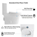 1.1/1.6 GPF Elongated Comfort Height Super Quite Flushing Floor Mounted One-Piece Toilet, CUPC B2724P246931